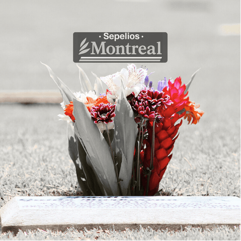 Contacto - Sepelios Montreal